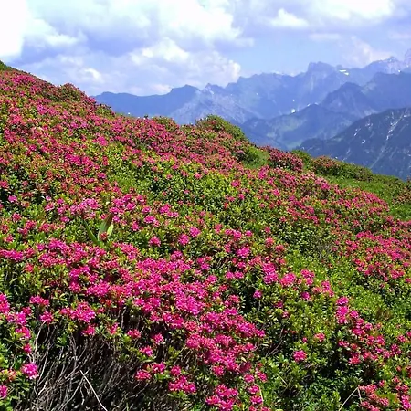 Gaestehaus Schuler *