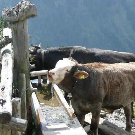 Apartmán Gaestehaus Schuler Riezlern