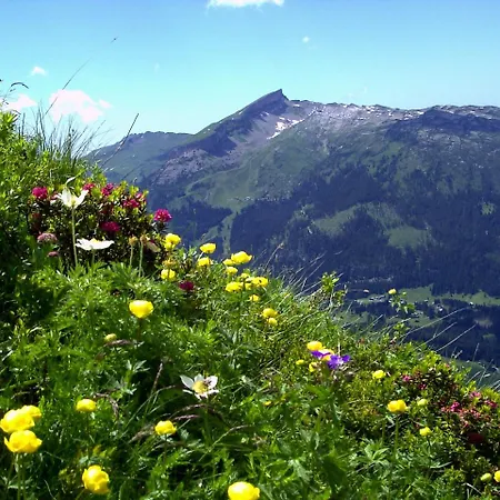 Gaestehaus Schuler Apartmán *