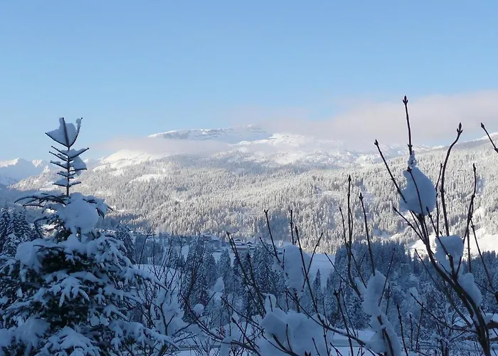 Gastehaus Schuler Апартаменты *